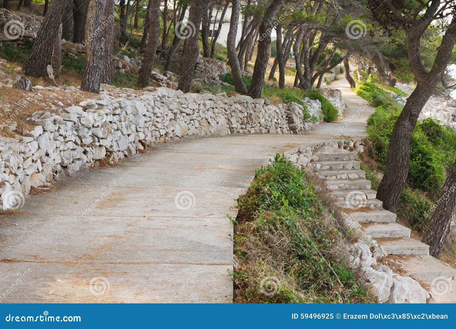 path between stone walls and pine trees