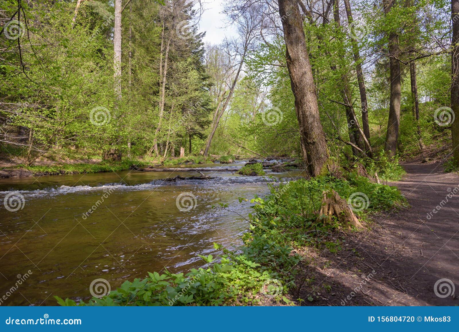 path at the tanew river in nature reserve nad tanwia