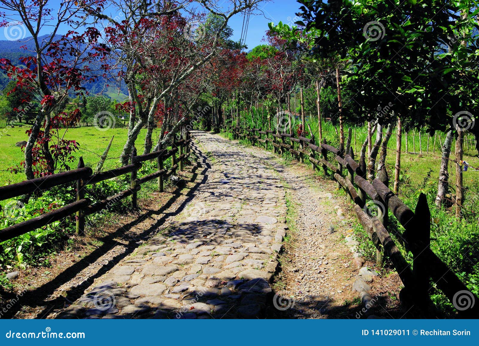 path to the jungle in cordiliera central, near jardin town.