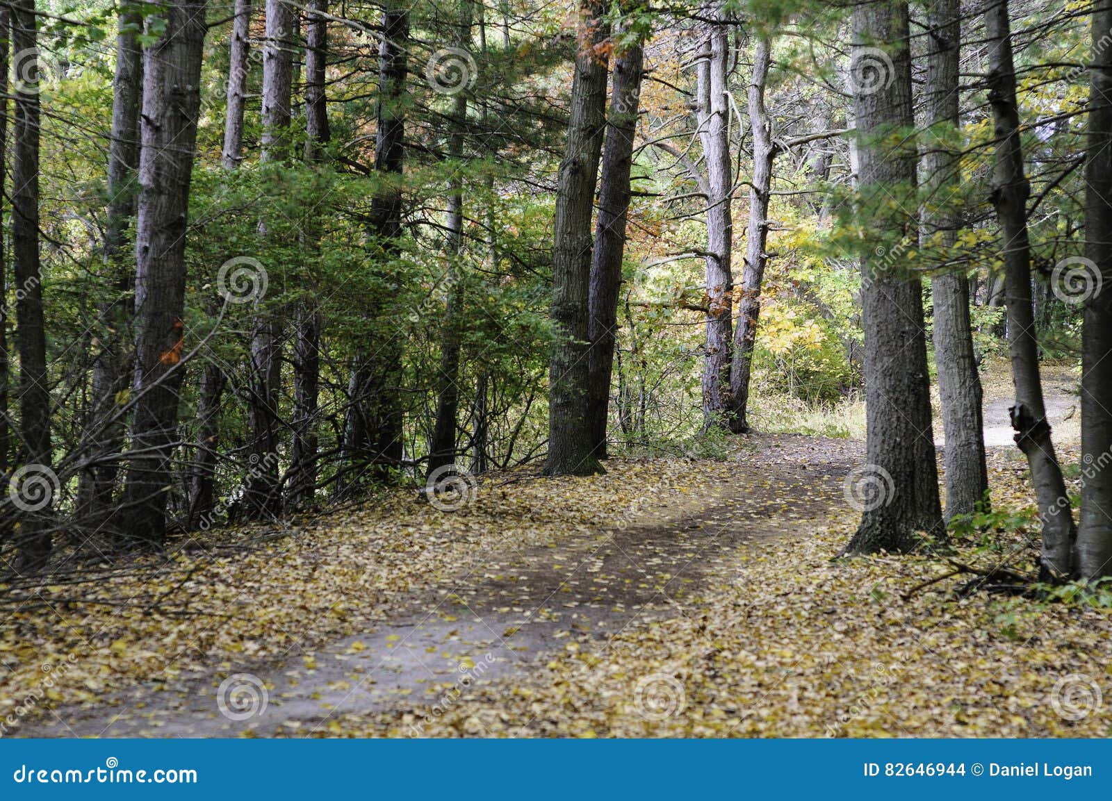 Turner Reservoir Spillway RoyaltyFree Stock Photography