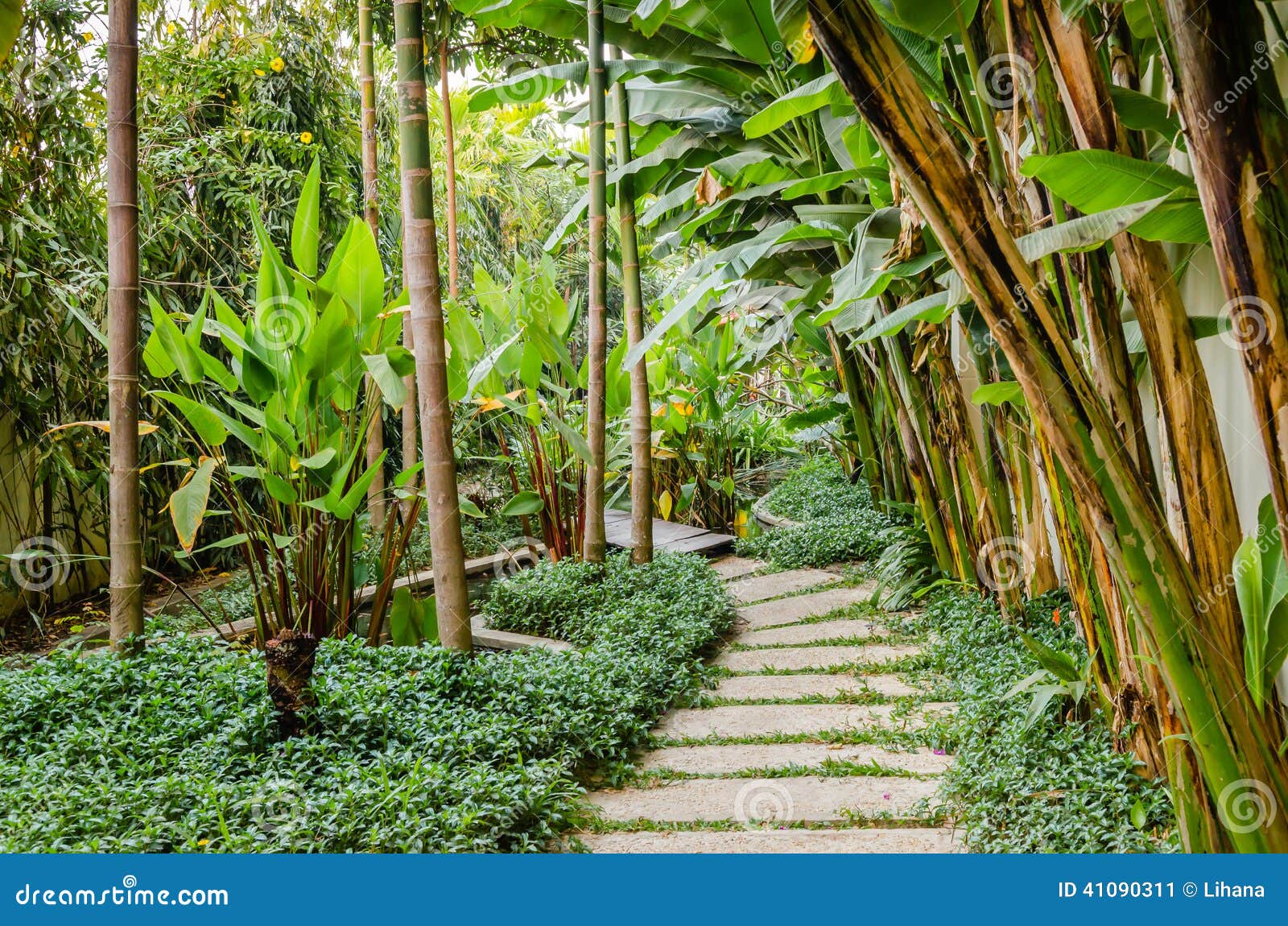 Path in a tropical garden stock image. Image of plant 41090311