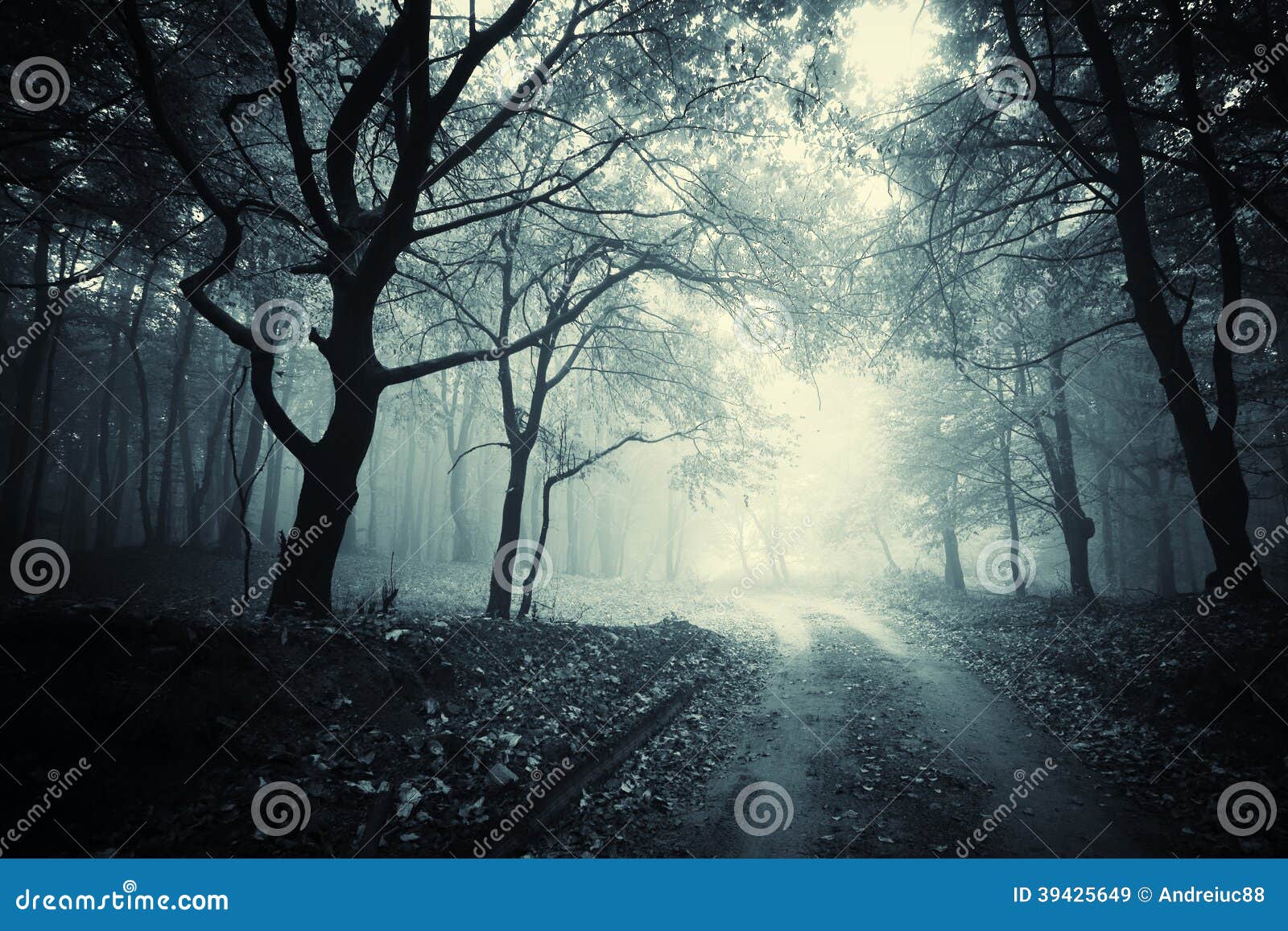 Path Trough A Dark Mysterious Forest With Fog Stock Image Image Of Beam Fantasy
