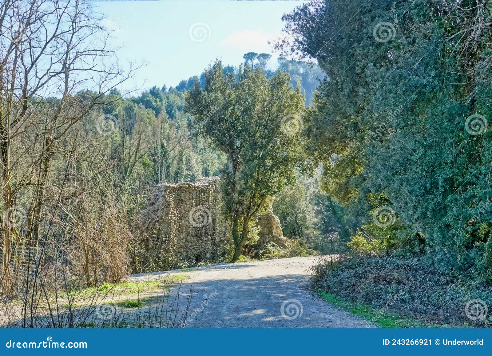 path in the woods , image taken in petriolo terme, bagni di petriolo, siena, tuscany, italy