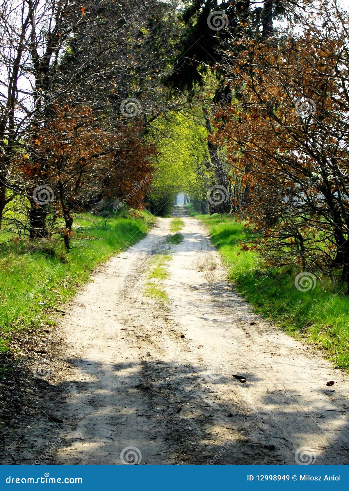 download free the pathless platforms download free the pathless platforms