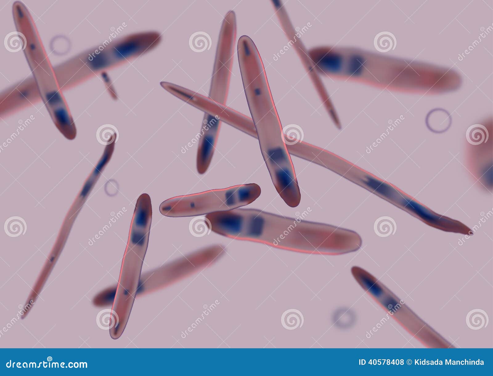 Pathogen Stock Illustrations, Vecteurs, & Clipart – (59,077 Stock