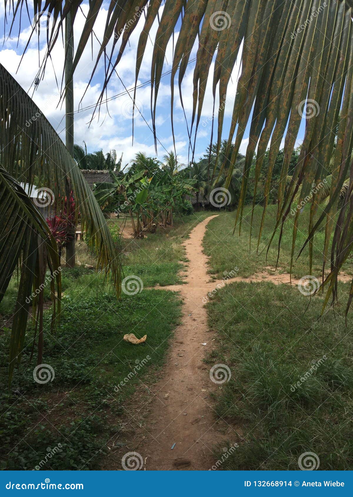 Village pathways stock photo. Image of village, trees 132668914