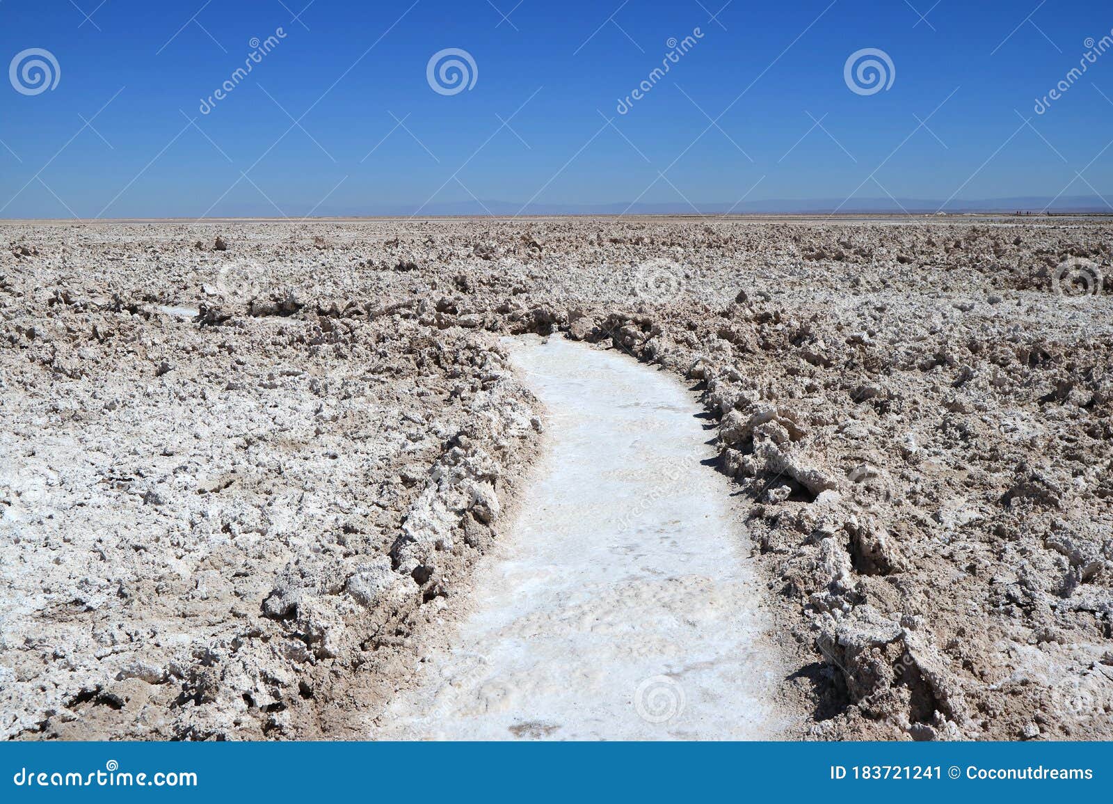 pathway among the amazing salar de atacama, chilean salt flat in antofagasta region, northern chile