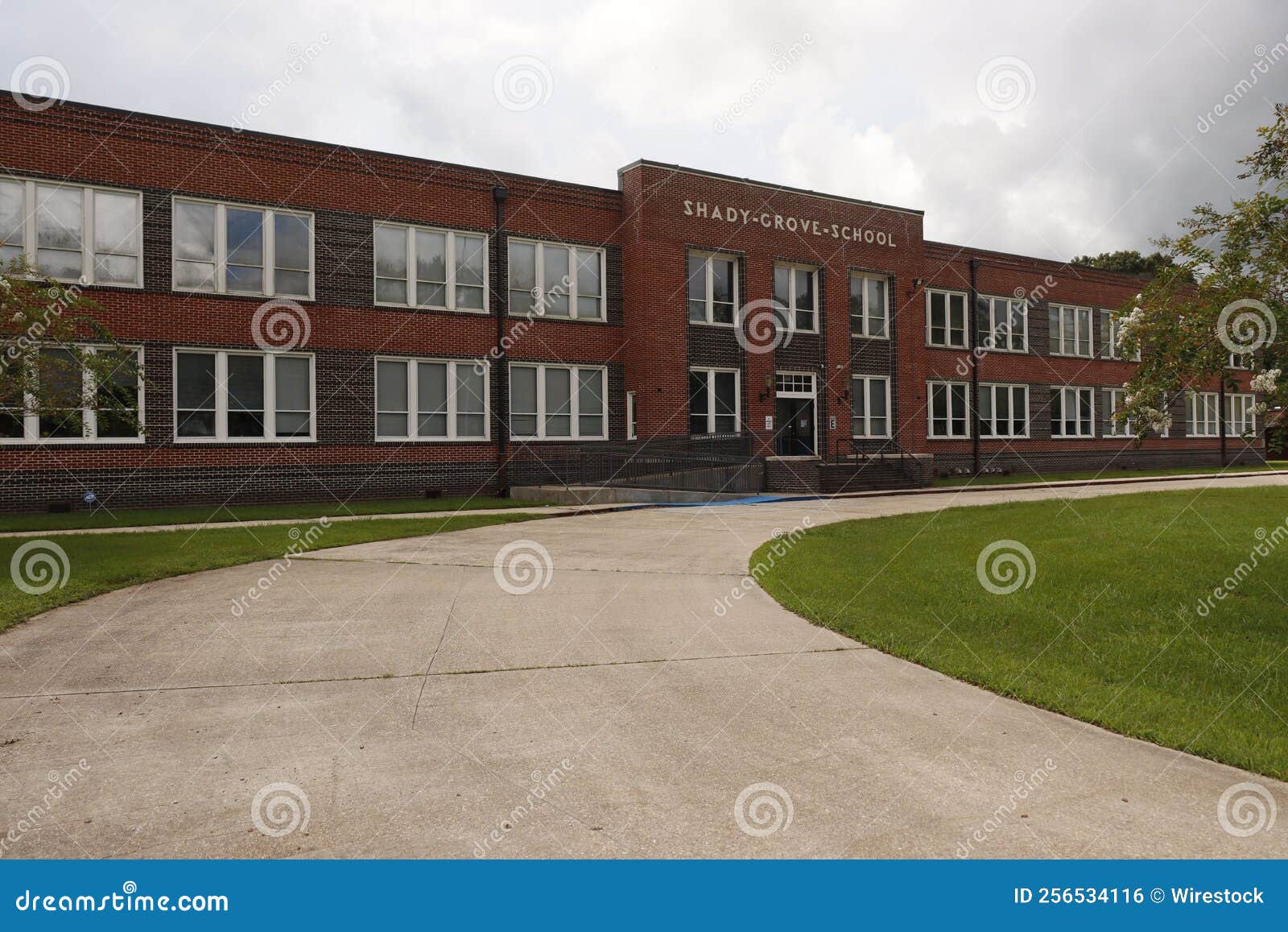 patrick nobbs rosedale day school