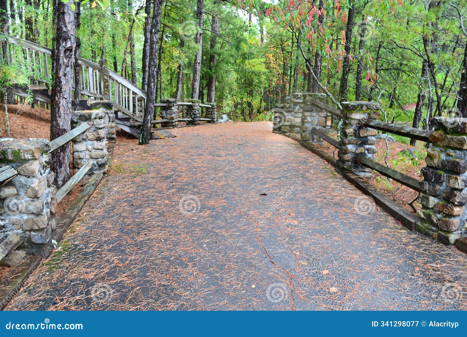 visitor's pathway in arkansas forest on a rainy day