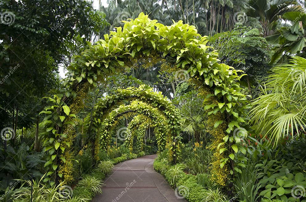 Pathway Singapore Botanic Garden Stock Image Image of garden, plants 92550753