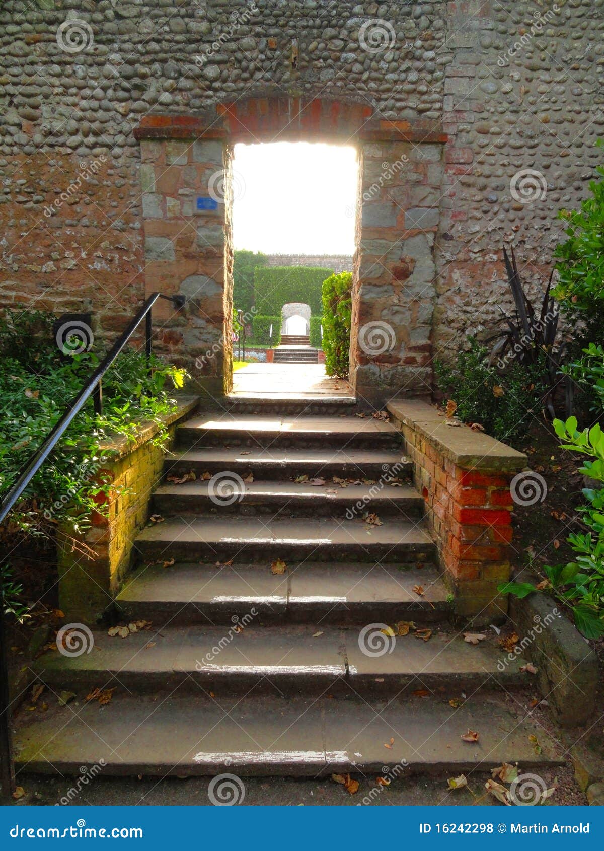 pathway steps