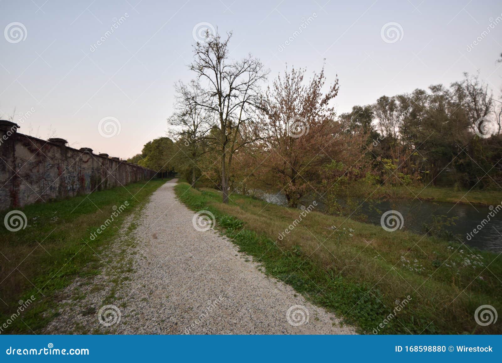 pathway surrounded by greenery near the serio river in crema in italy