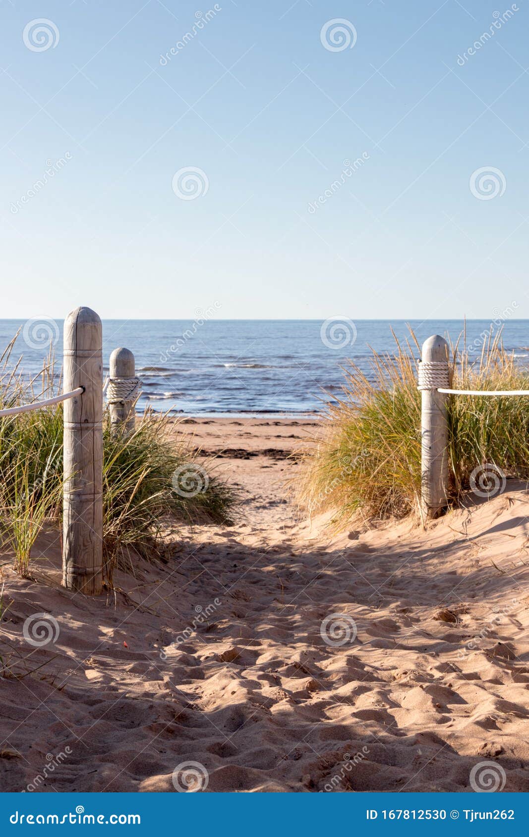pathway to the atlantic ocean beach