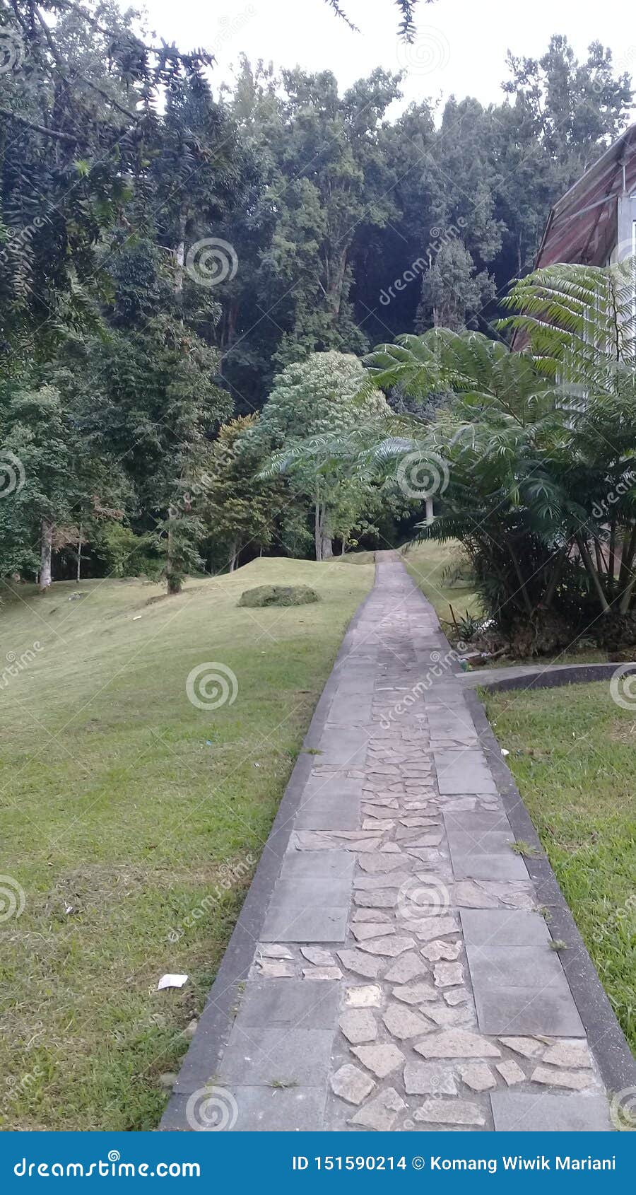 Pathway To Bali Botanical Gardens Stock Photo Image Of Botanical