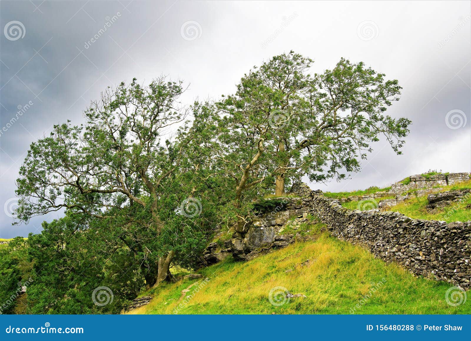 pathway to the norber erratics, austwick, yorkshire dales, england