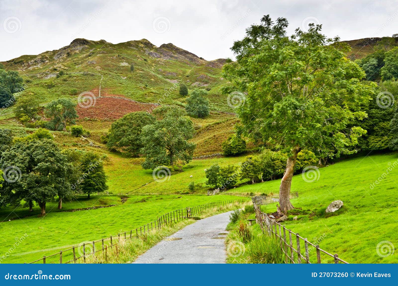 pathway under loughrigg fell