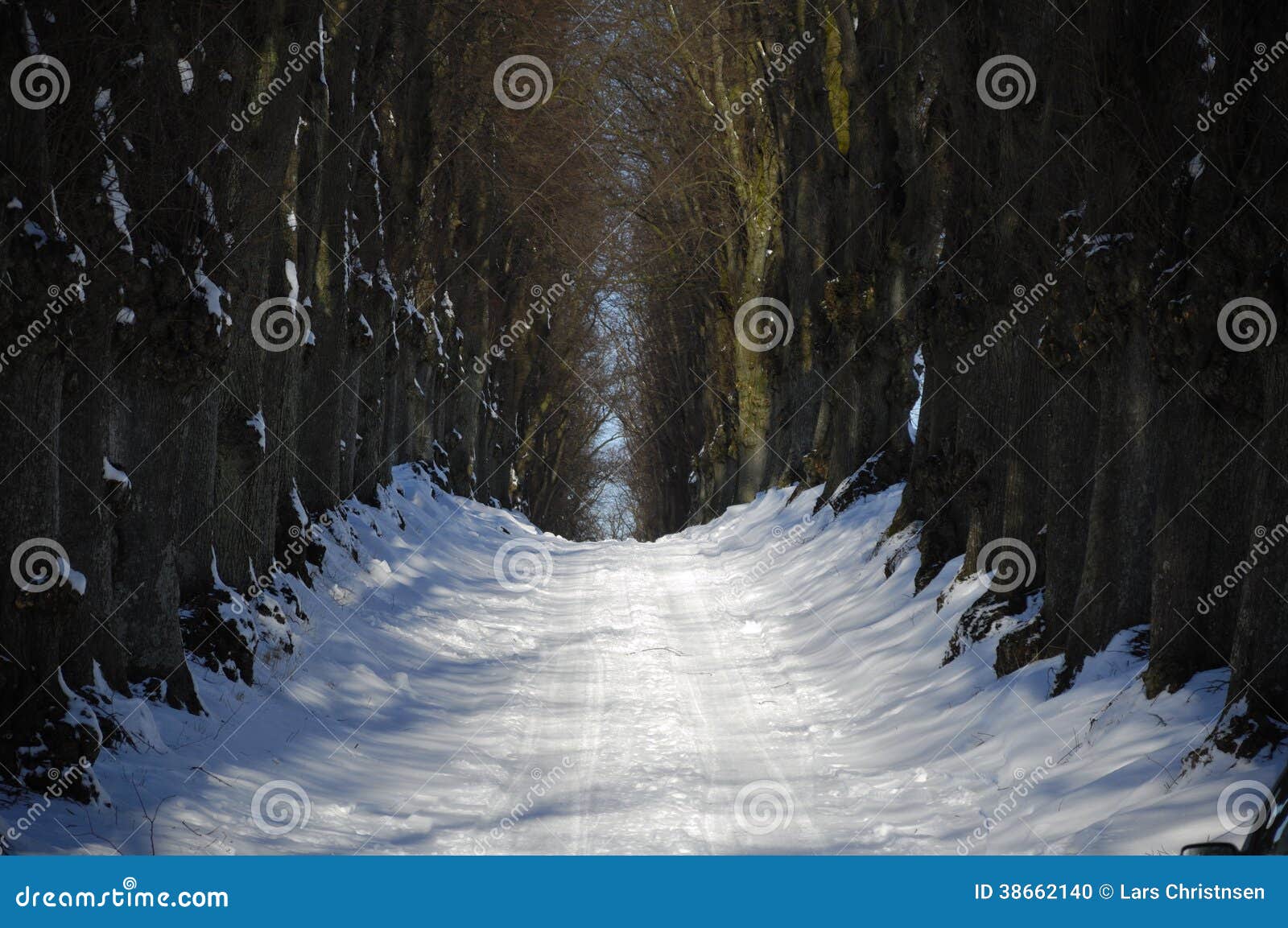 Pathway at winter stock photo. Image of hike, adventure - 38662140