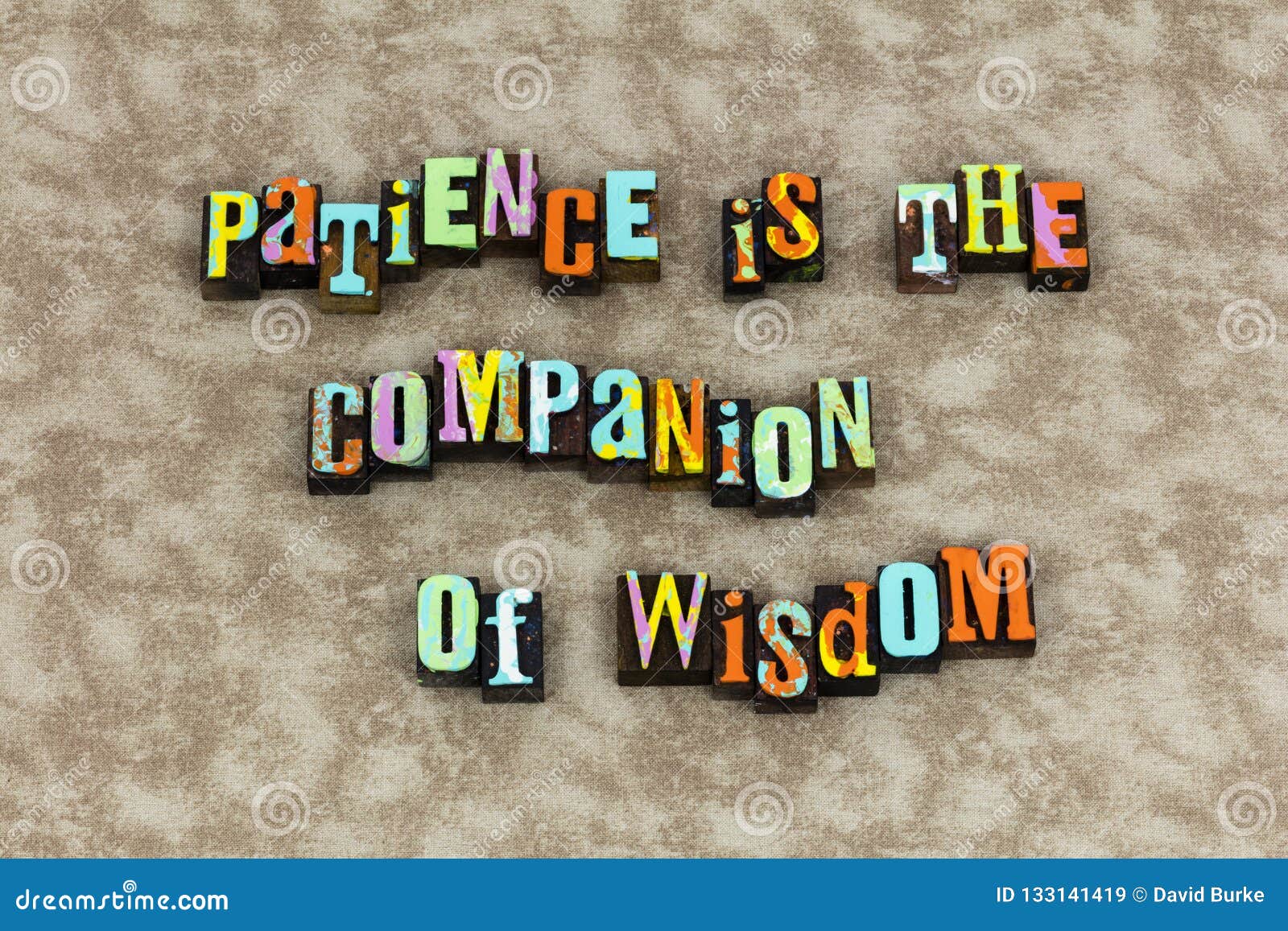 patience companion wisdom education time