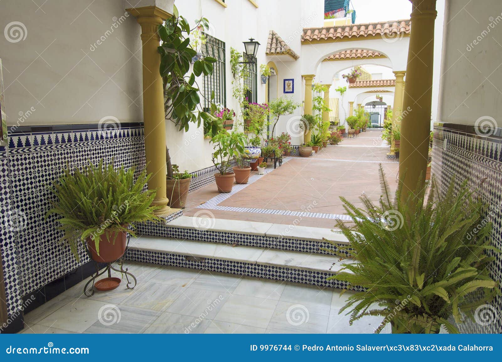 Patio andaluz típico foto de archivo. Imagen de plantas 9976744