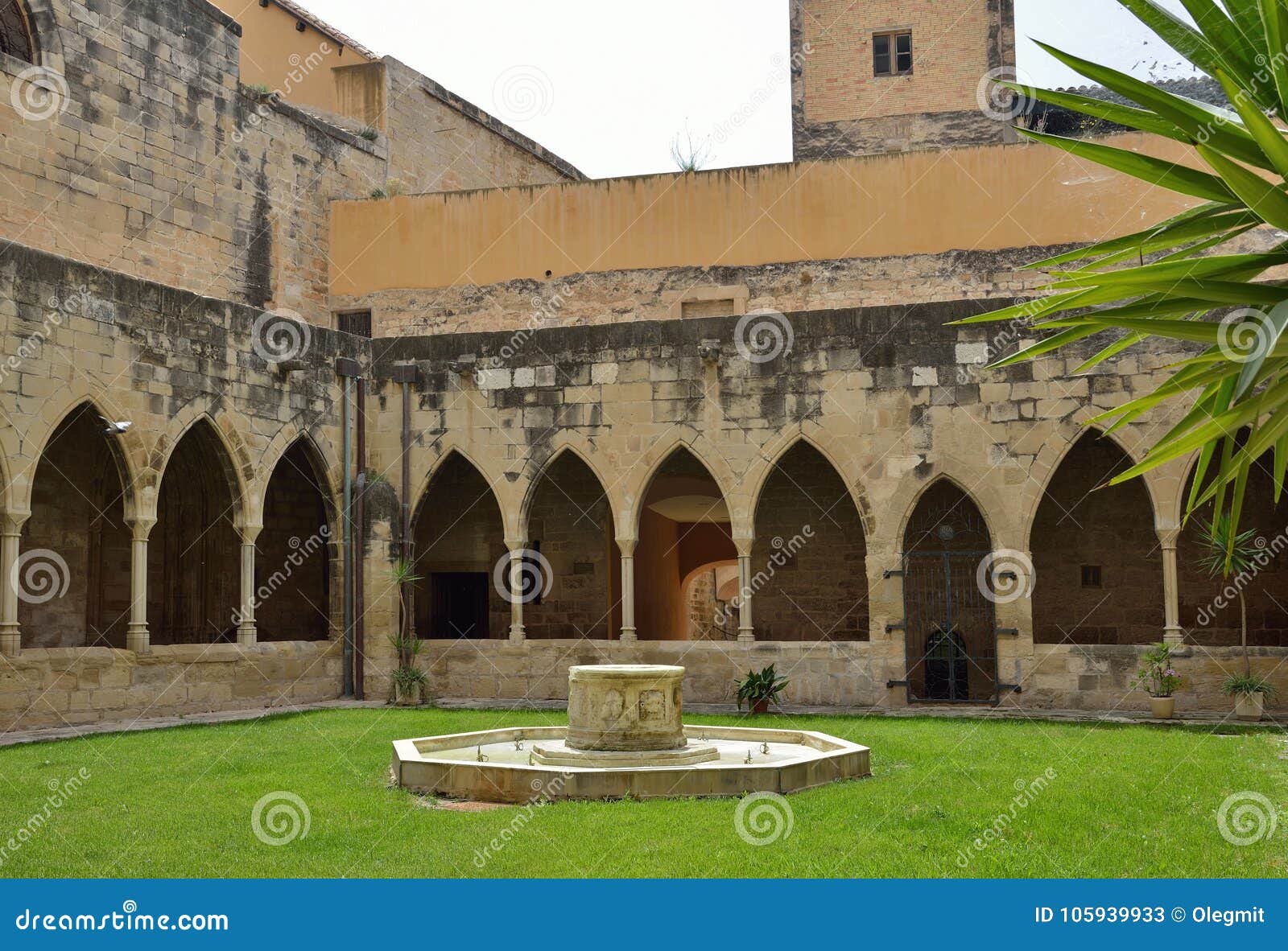 patio of the cathedral of saint mary in tortosa