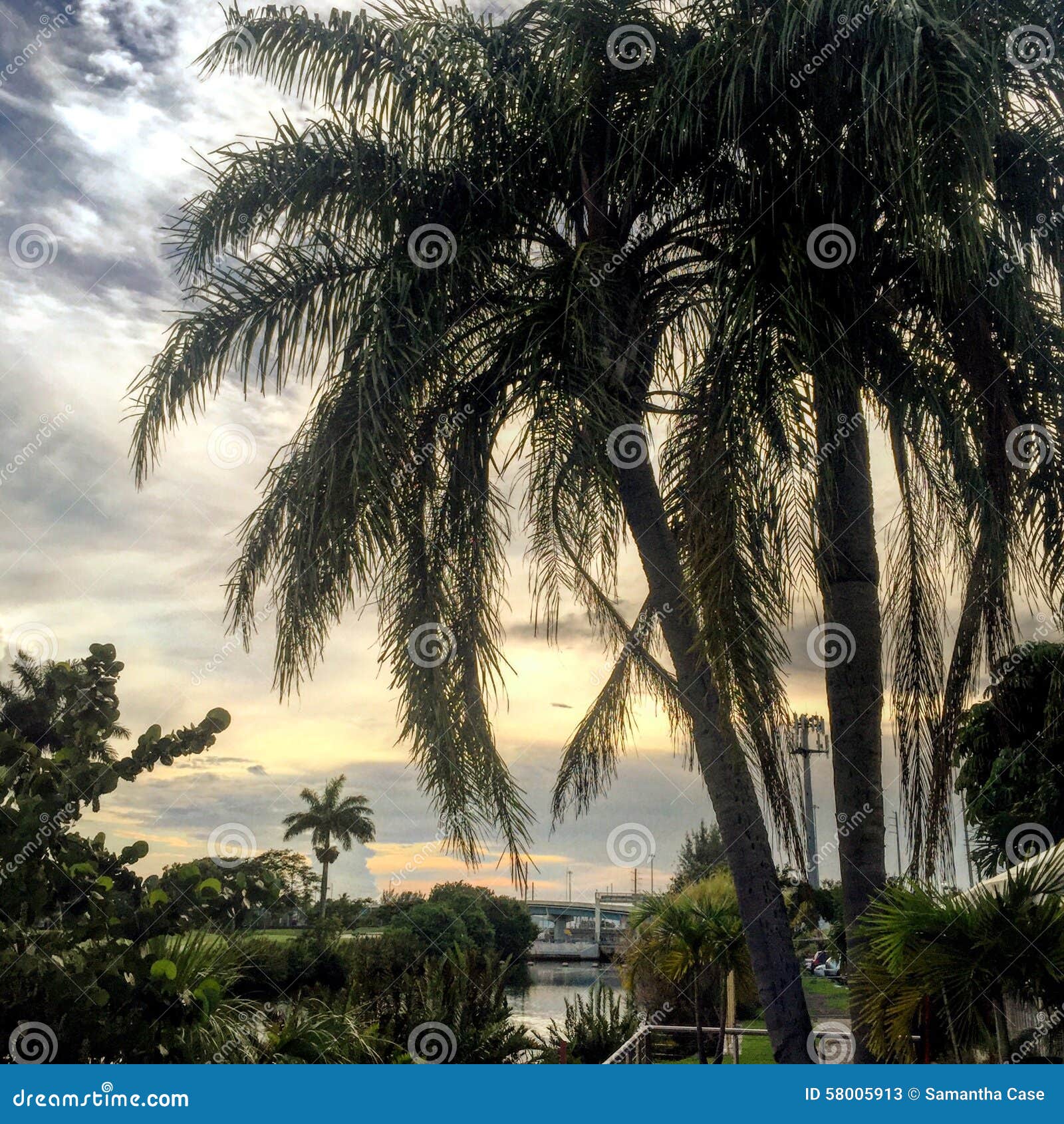 Patio de Miami image stock. Image du miami, patio, hôtel 58005913