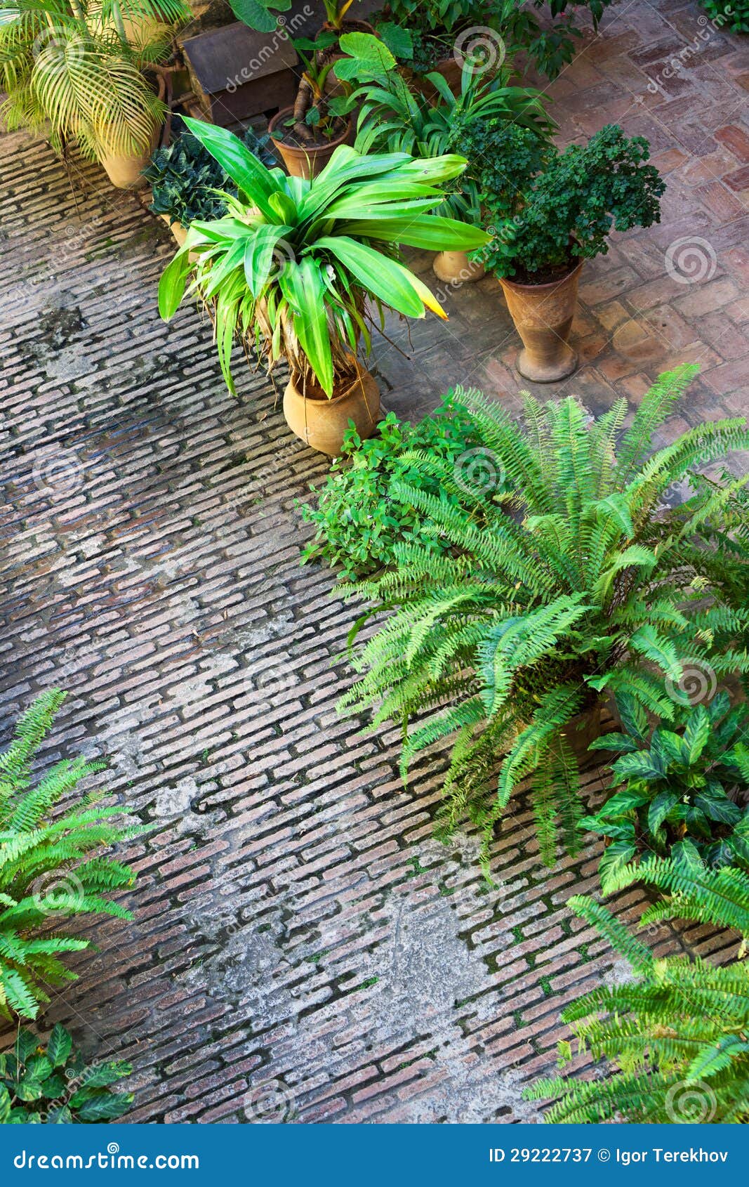 Patio en la casa vieja imagen de archivo. Imagen de plan 29222737