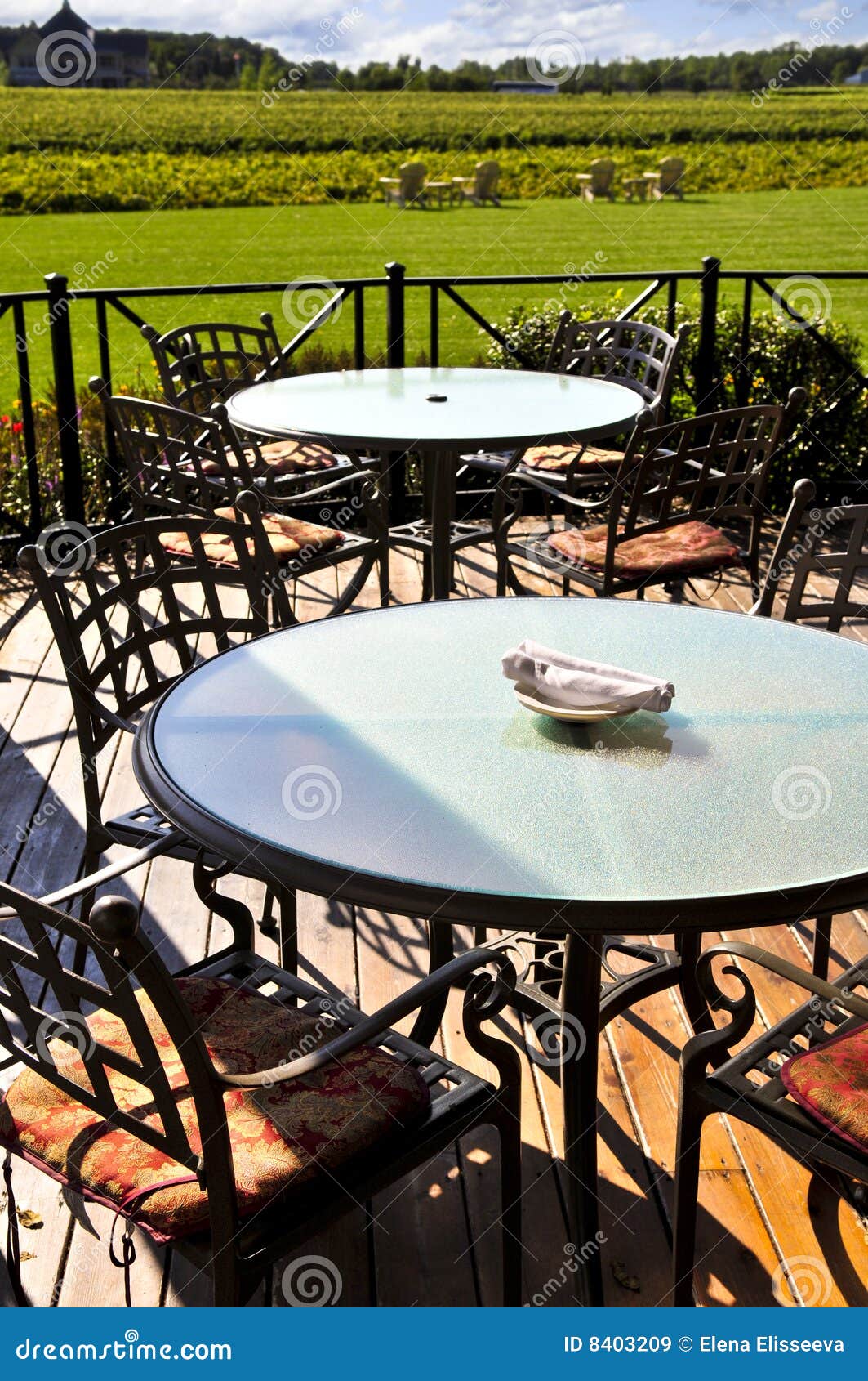 Patio overlooking vineyard stock image. Image of farm 8403209