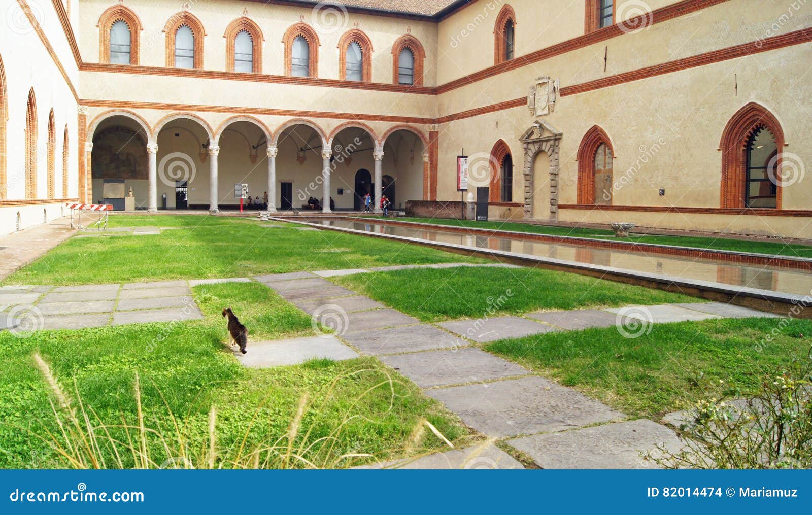 italy, milan: patio`s in sforza castle with feral cat