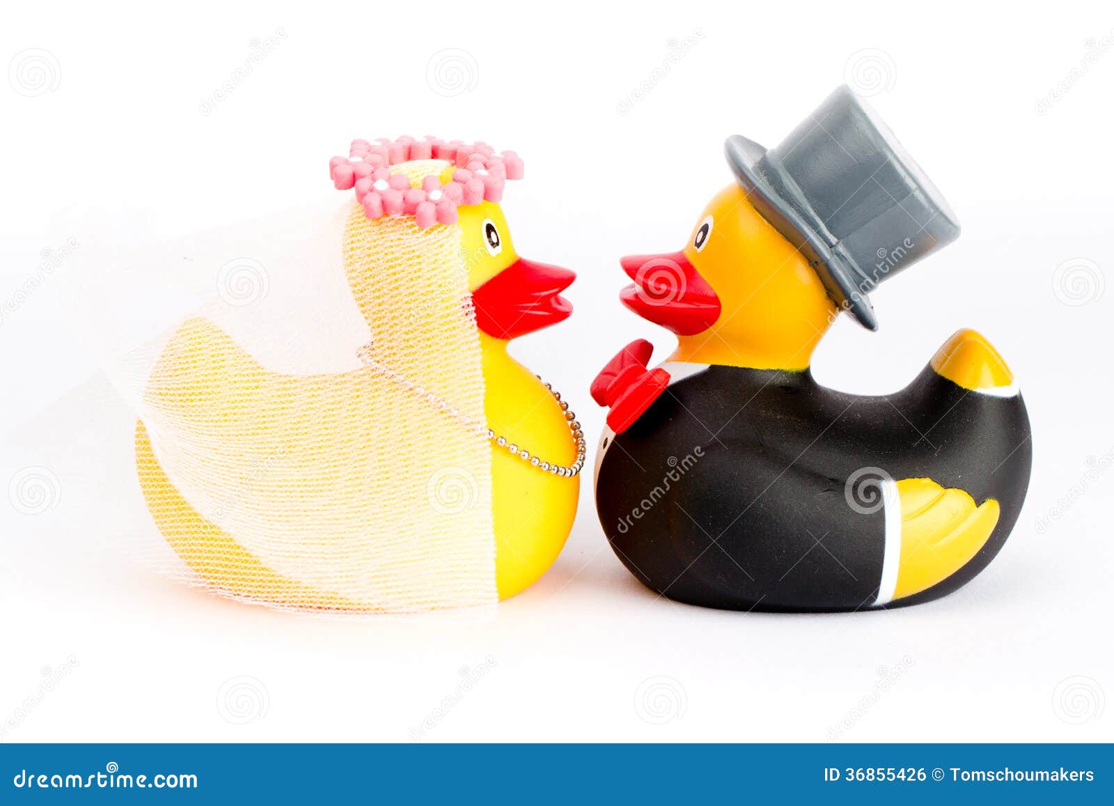 Elba O'Ward @ElbaOWard nos está compartiendo a través de sus historias de  Instagram más fotos de su boda. Pato ayudo a Elba llevando su vestido para  su primer vistazo con Brett 🥺❤️, image size:1600x1157