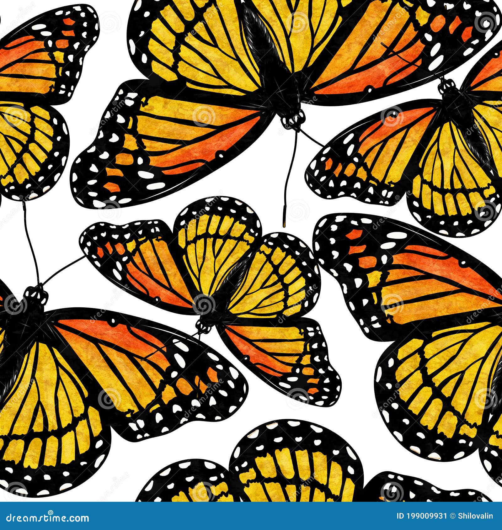 Patrón De Mariposa Monarca Dibujo Manual, Pintura Acuarela En Papel Stock  de ilustración - Ilustración de resorte, monarca: 199009931