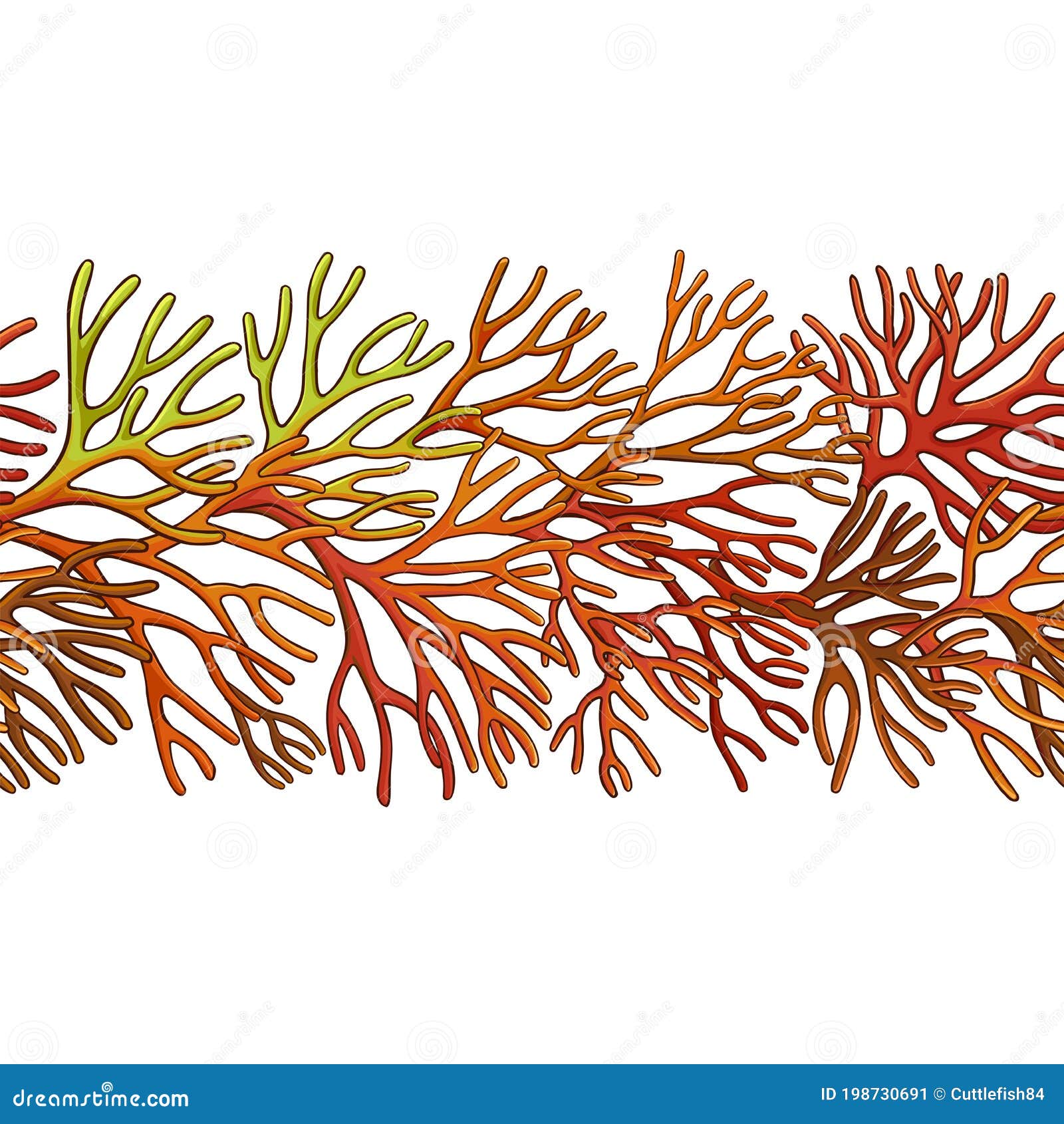 Patrón de musgo marino ilustración del vector. Ilustración de salud -  198730691