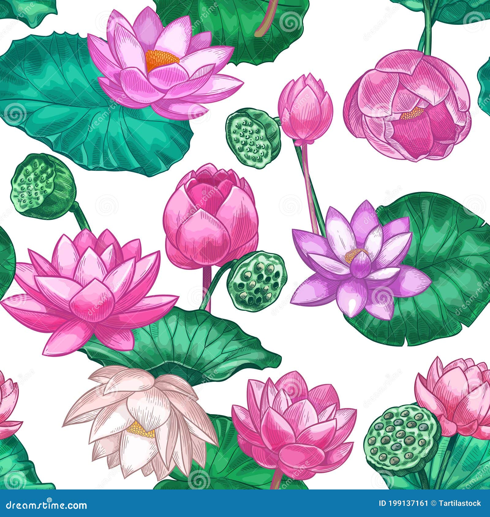 Patrón Transparente De Loto Rosa Flores De Lirio De Agua Suaves, Loto Rosa  Diseño Tropical Decorativo Para Cuidados Ayurveda Ilustración del Vector -  Ilustración de hoja, oriental: 199137161