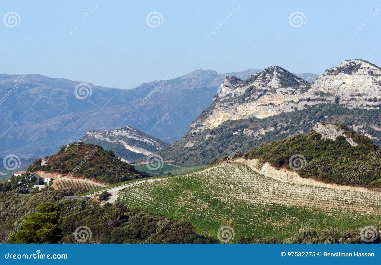 patrimonio hills in corsica island