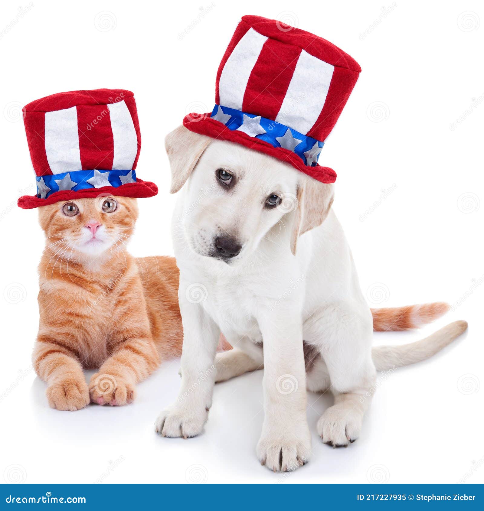 patriotic animals