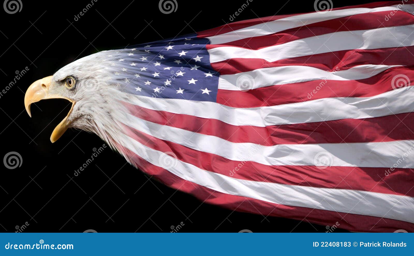 patriotic-eagle-flag-22408183.jpg