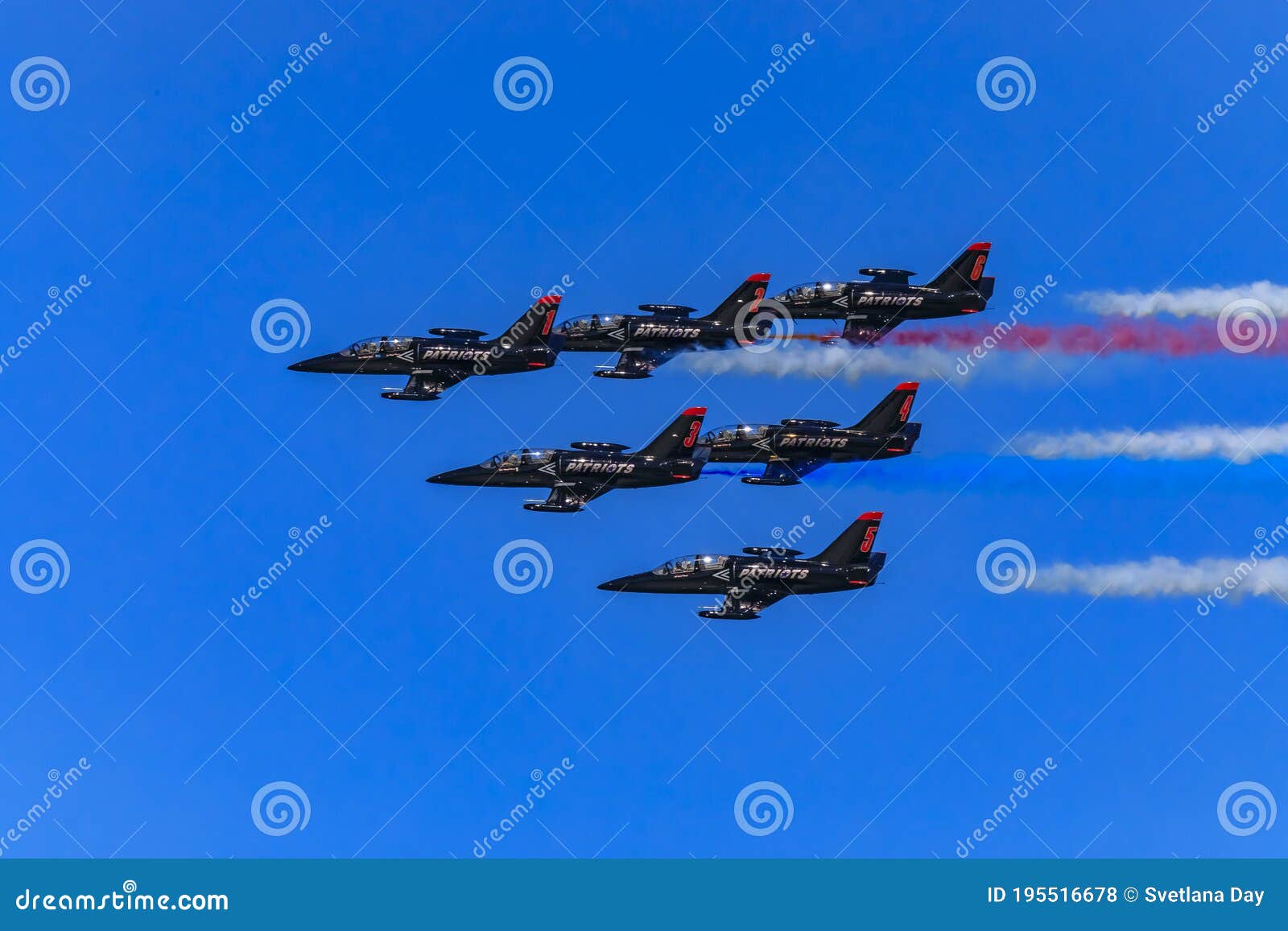 Patriots Jet Team Aerobatic Team Aero L-39 Albatros Jets in Formation ...
