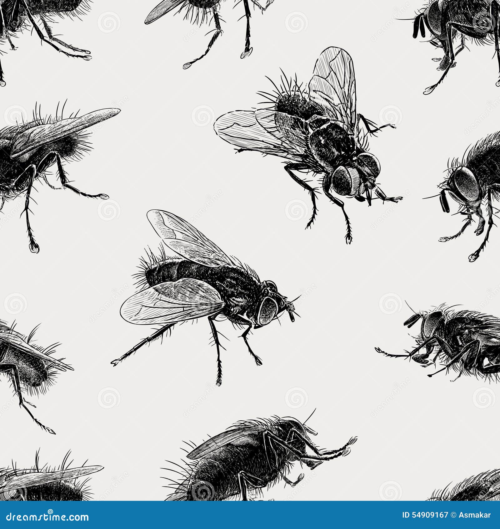 Pattern of the big flies stock vector. Illustration of pattern