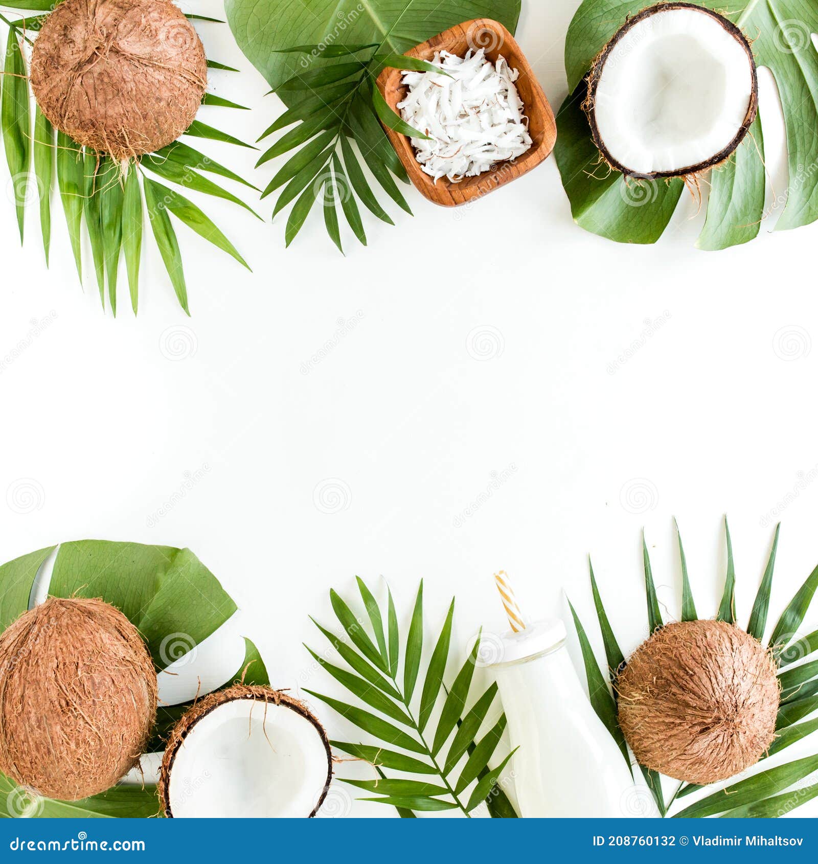 Pattern, Frame Borders with Coconuts and Tropical Palm Leaves on White
