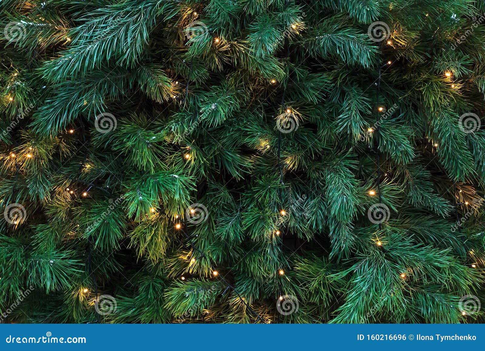 Pattern with Green Branches with Pine Illuminated Garlands Lights, Soft