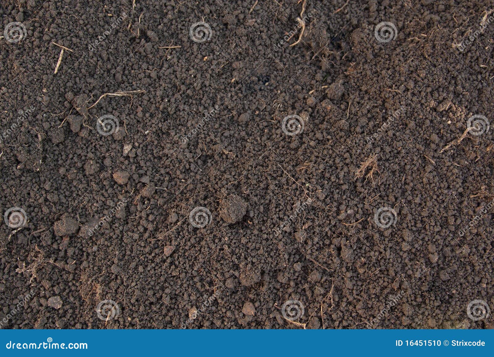 pattern of humus soil