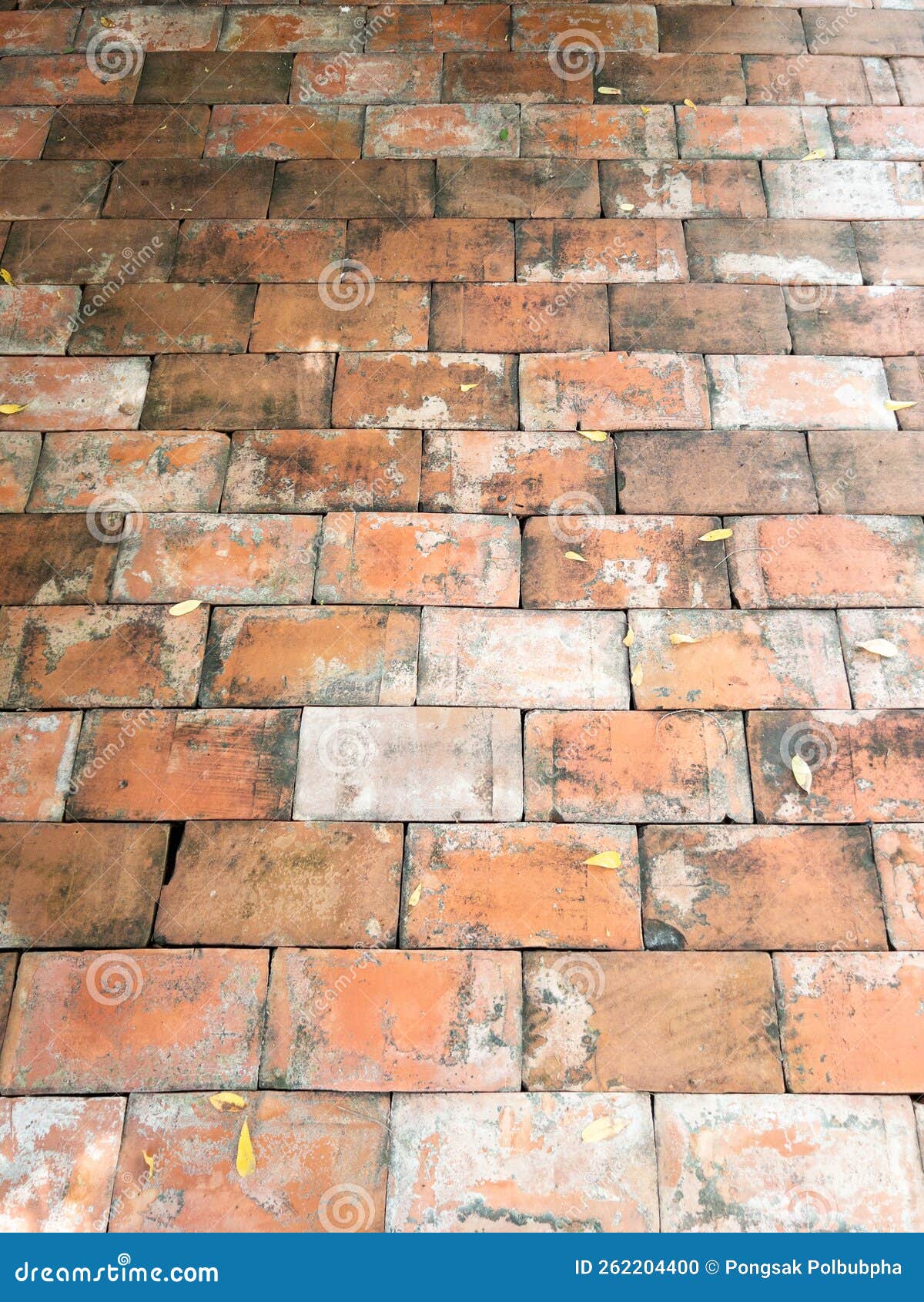 The Pattern of the Red Brick Tile on the Pavement Stock Photo Image