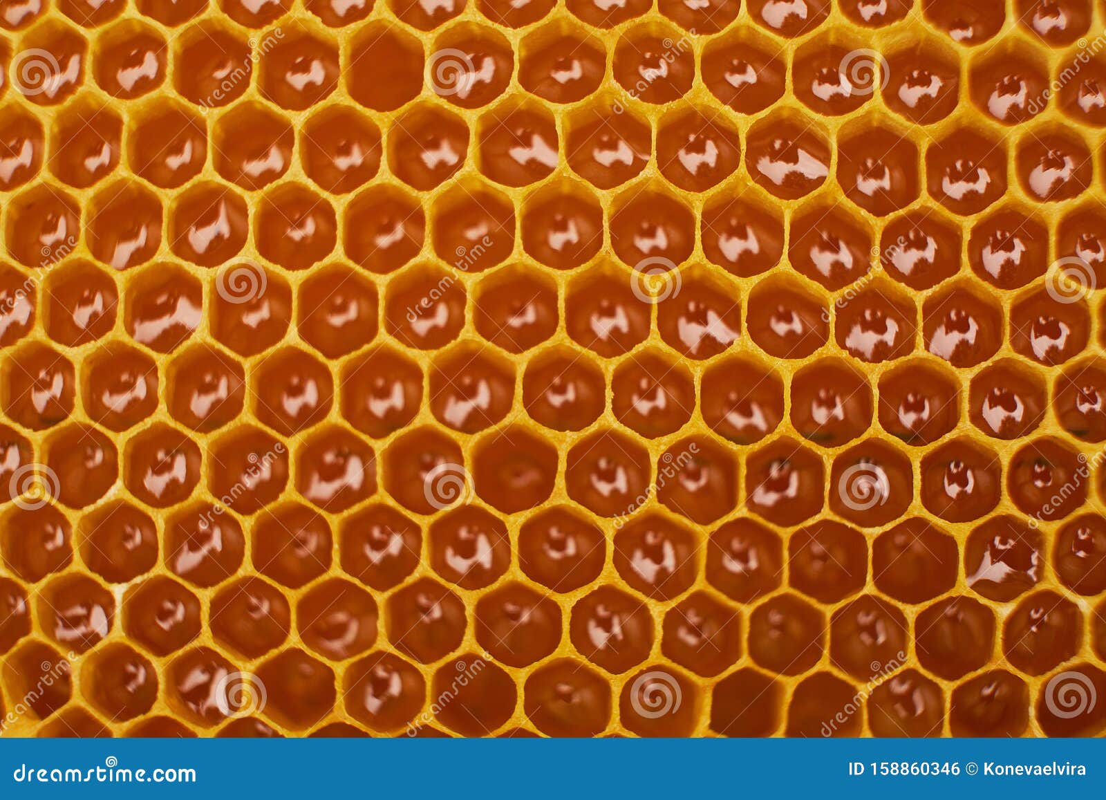 Pattern Of A Section Of Wax Honeycomb From A Bee Hive ...