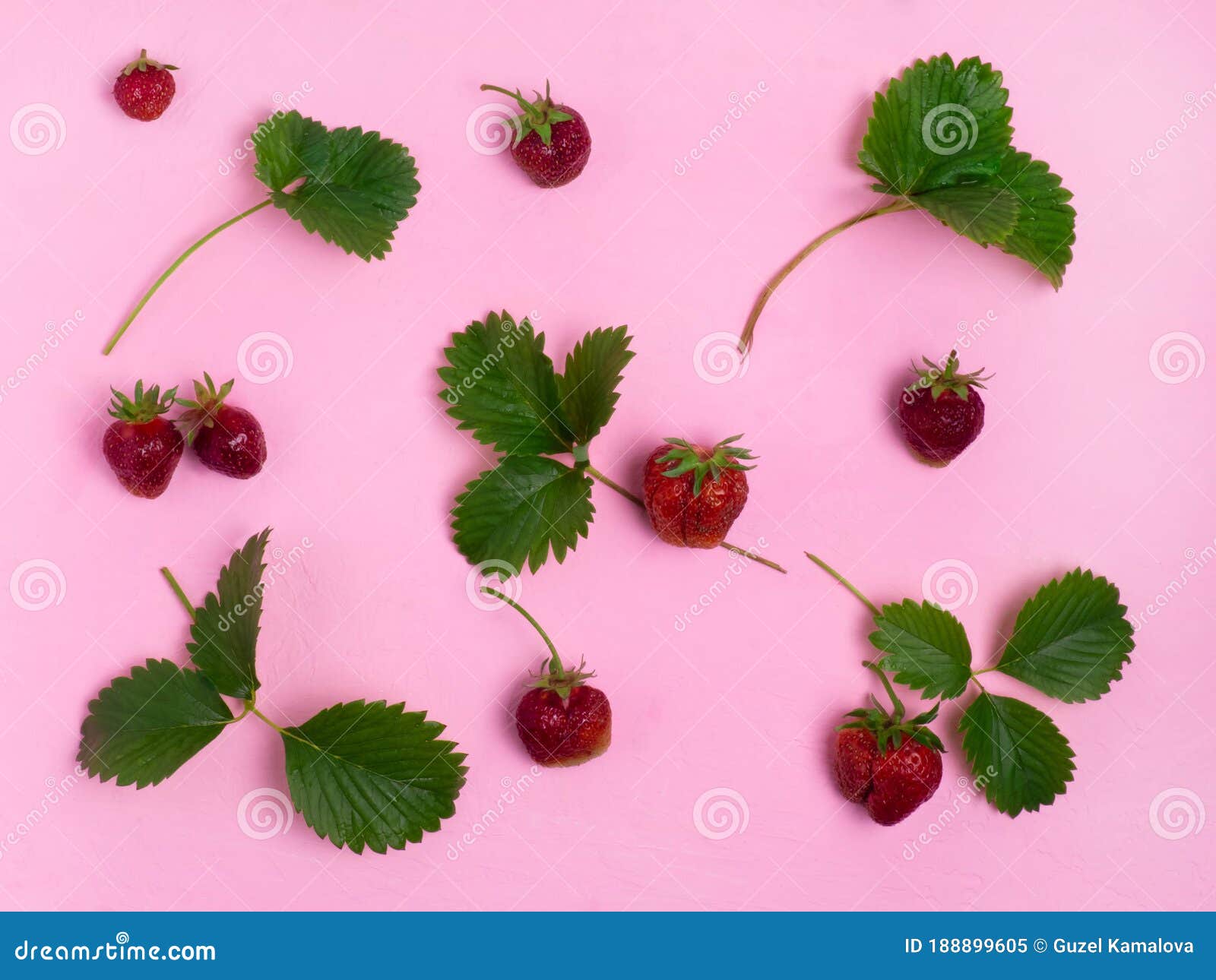 Pattern of Strawberries and Strawberry Leaves. Stock Image Image of