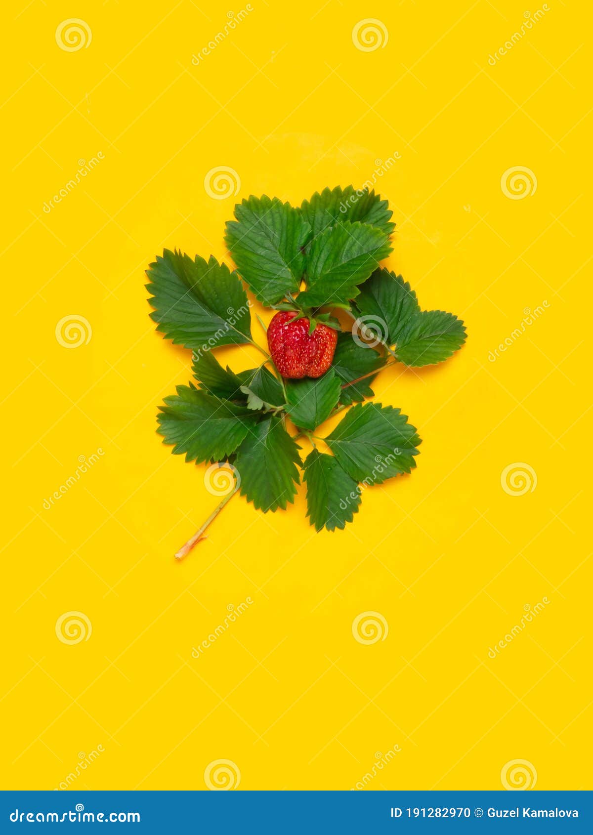 Pattern of Strawberries and Strawberry Leaves Stock Photo Image of