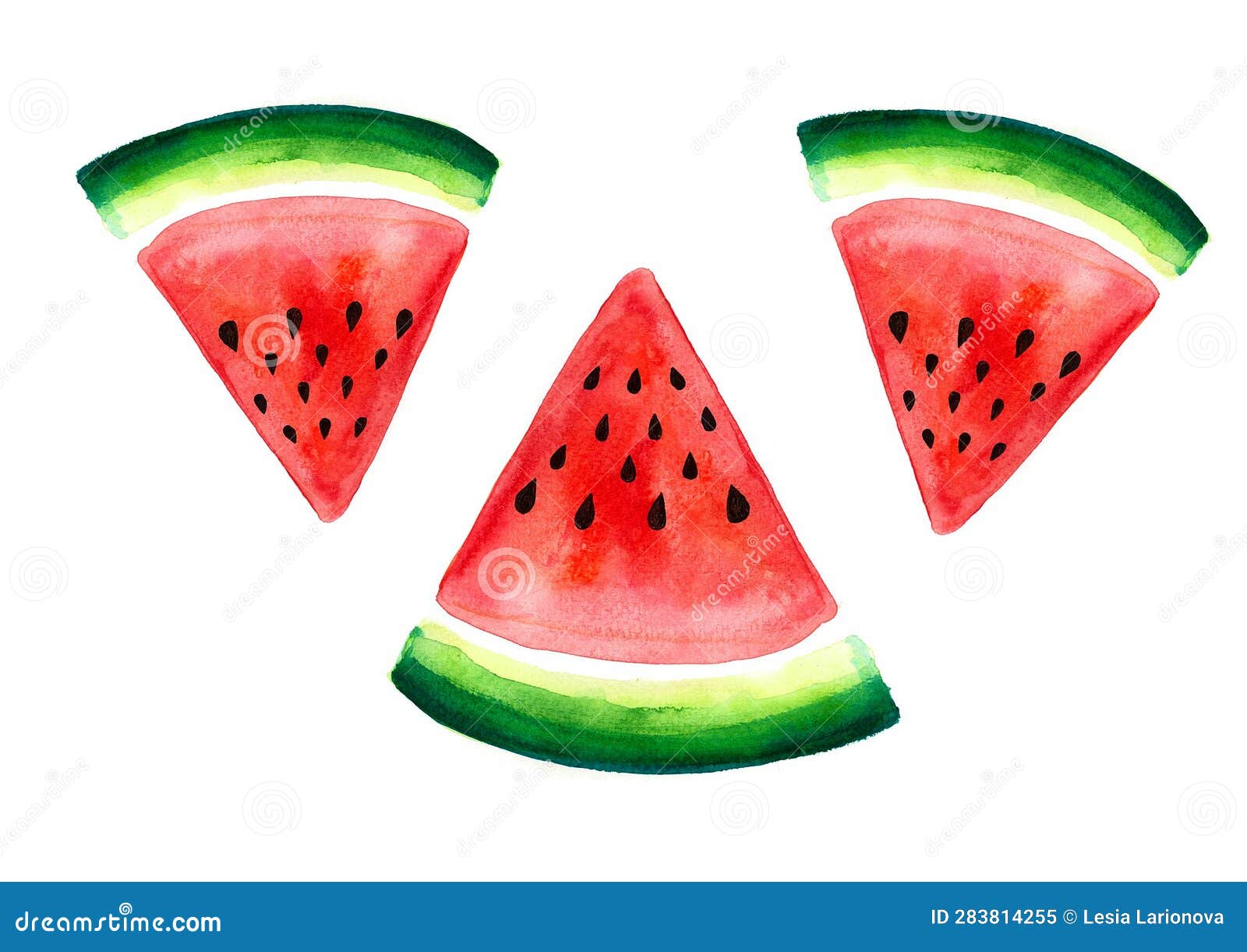 Pattern of Three Triangular Pieces of Watermelon. Colored Isolated on