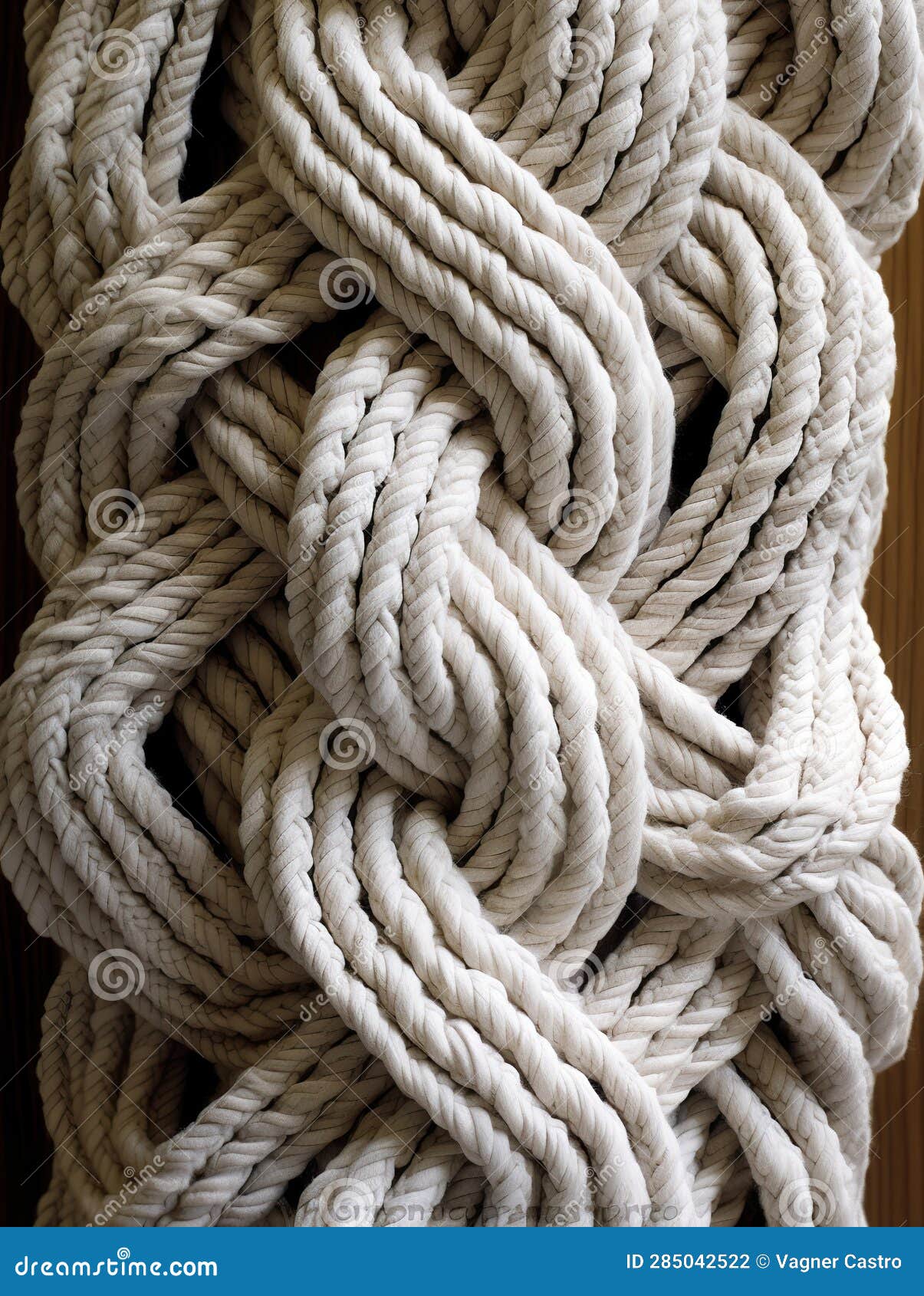 Pattern of Twisted and Intertwined Ropes and Threads in White Color. Stock  Illustration - Illustration of knot, wood: 285042522