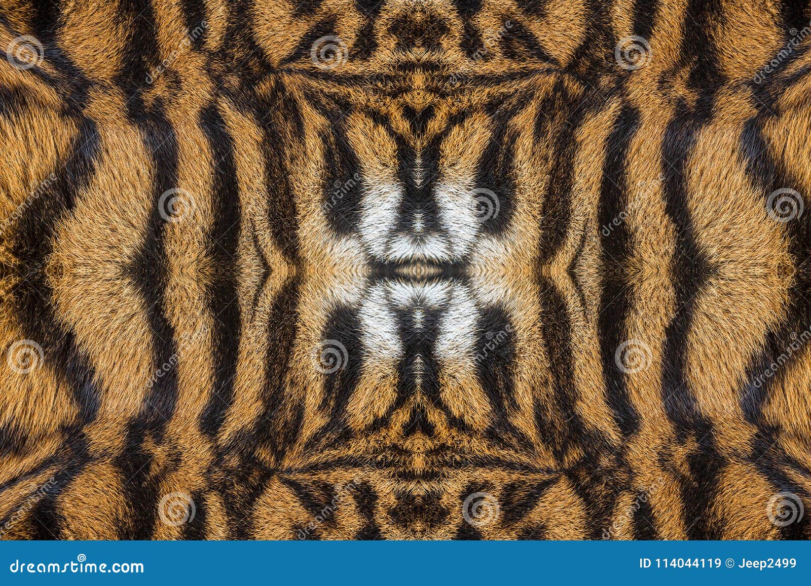 Patterned and Texture of Tiger. Stock Image - Image of striped, eyes ...