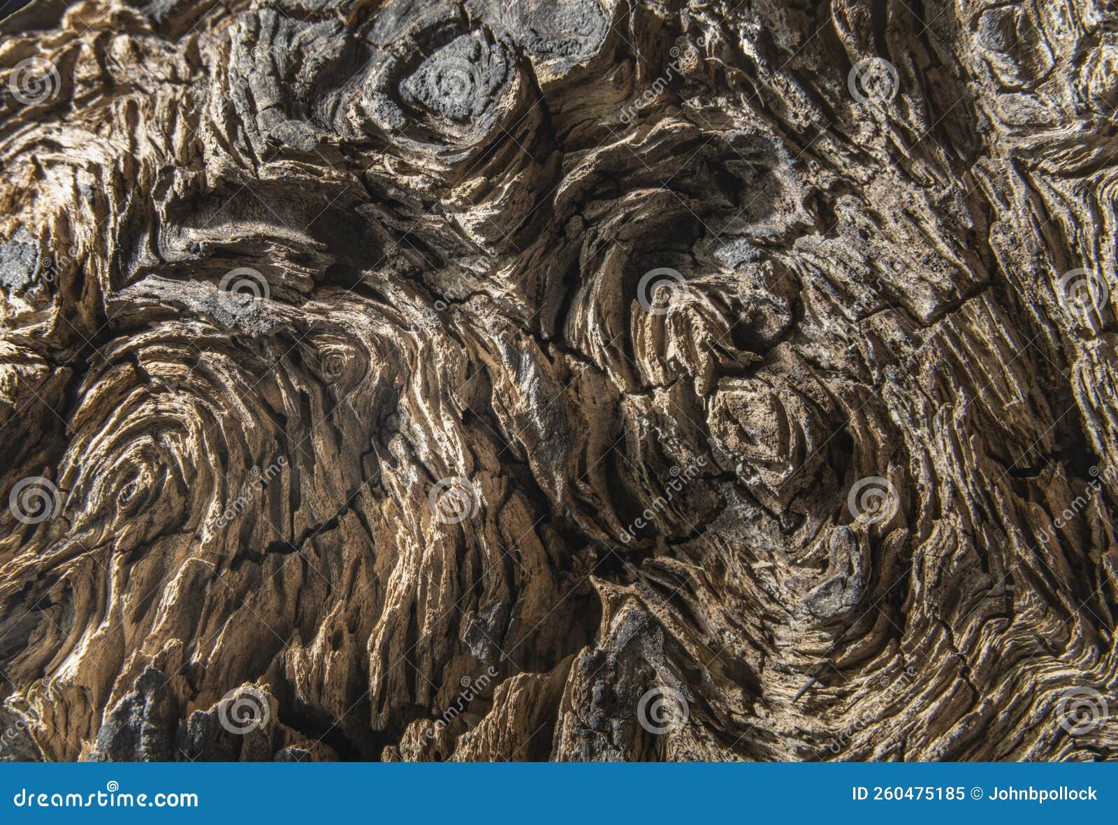 Patterns in burl wood stock image. Image of pattern 260475185