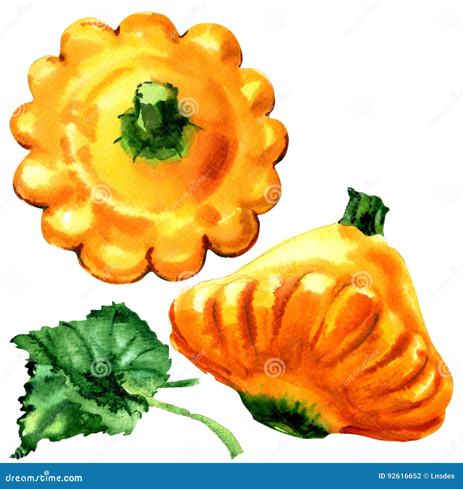 Pattypan Jaune Courge D Ete De Bebe Avec La Feuille D Isolement Illustration D Aquarelle Sur Le Blanc Illustration Stock Illustration Du Peint Crante