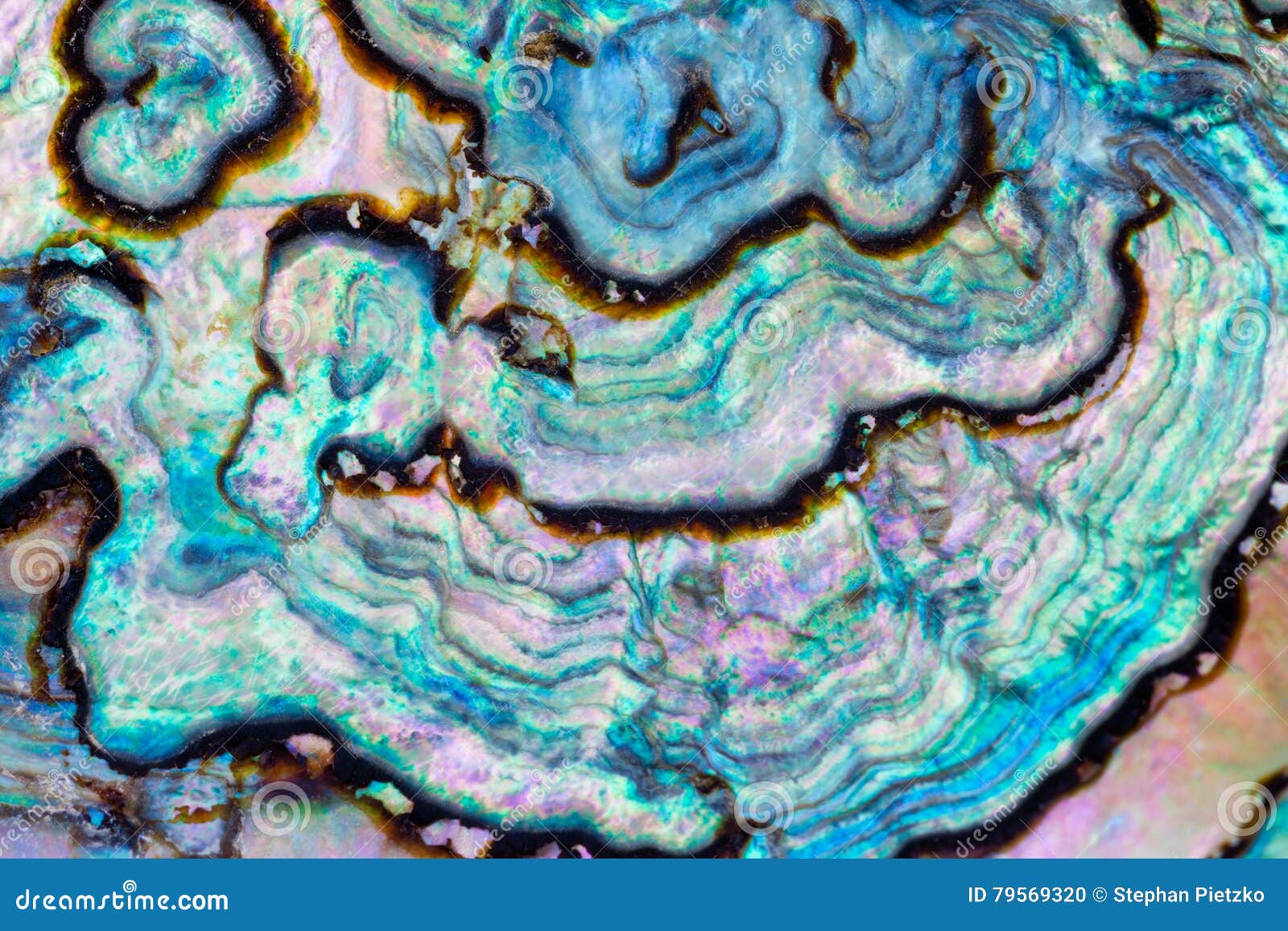 Paua Abalone Shell Mother-of-pearl Texture Pattern Stock Photo - Image of  jewellery, haliotis: 79569320